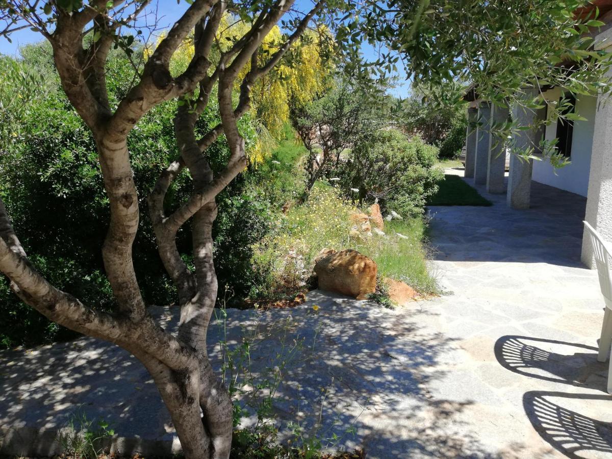 La Sima Villa Con Piscina Vista Mare San Pantaleo Sardegna Exterior foto